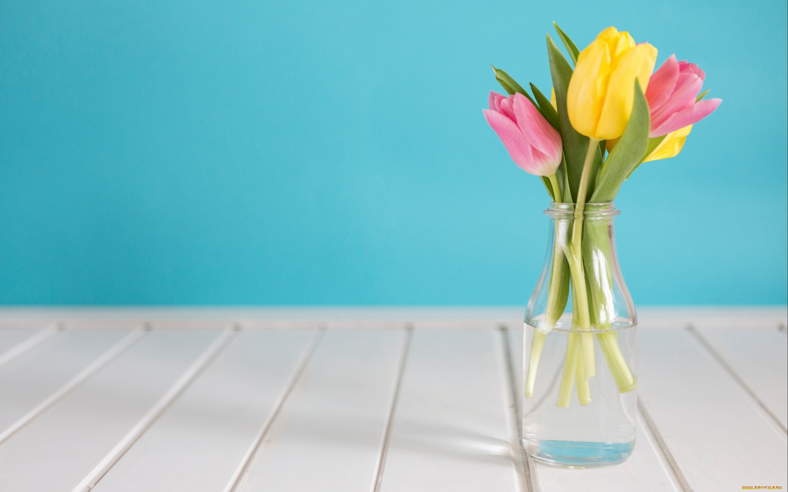 , , tulips, tender, pink, wood, , fresh, , , yellow, , spring, flowers